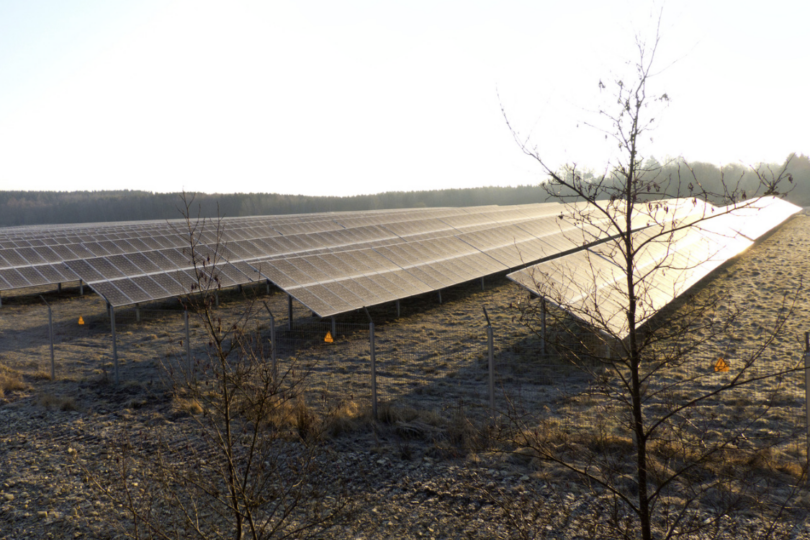 Eine Aggro-PV-Anlage im Frühjahr, auf die Sonne scheint.