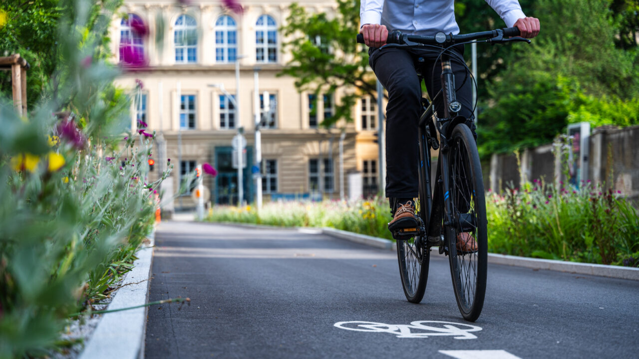 Fahradfahrer:in auf Fahradweg mit Bodenmarkeirung, St.Pölten Promenadenring