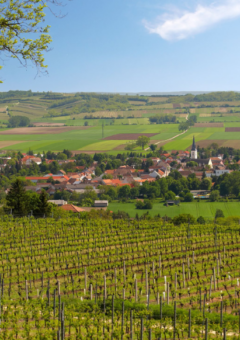 Eine grüne Landschaft mit Dorf im Hintergrund und blauem Himmel.