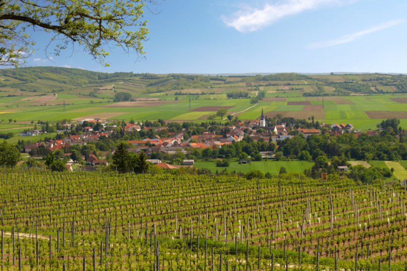 Eine grüne Landschaft mit Dorf im Hintergrund und blauem Himmel.