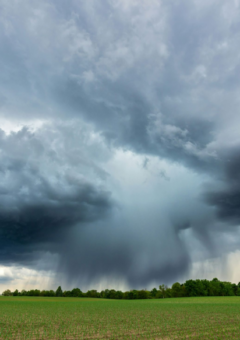 Graue Gewitterwolken über Landschaft.