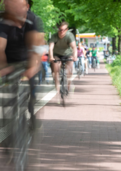 Eine Gruppe von Radfahrer:innen auf einem Radweg in einem Park.