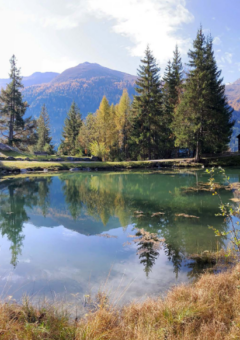 See in einer Waldlandschaft, Berge im Hintergrund.