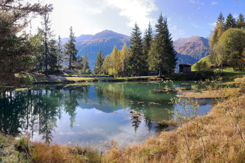 See in einer Waldlandschaft, Berge im Hintergrund.