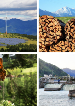 Das Bild ist in vier Quadranten unterteilt. Oben links sind Solarpanele und Windräder zu sehen. Obern rechts ist Brennholz zu sehen, unten links sieht man ein Schmetterling auf einer Blume. Unten rechts ist ein Wasserkraftwerk.