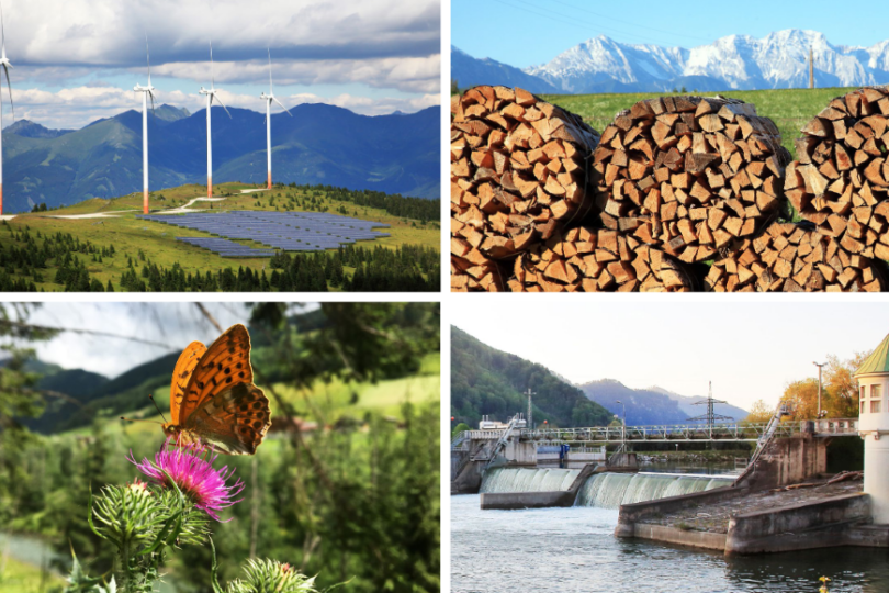 Eine Collage mit vier Bildern, die verschiedene nachhaltige Ressourcen und Naturlandschaften zeigen: Oben links Windräder und ein Solarfeld auf einem grünen Hügel vor einer Bergkulisse, oben rechts gestapelte Holzscheite mit schneebedeckten Bergen im Hintergrund, unten links ein Schmetterling auf einer lila Blume in einer idyllischen Naturkulisse und unten rechts ein Wasserkraftwerk mit einem Fluss in einer bergigen Landschaft.