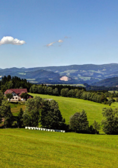 Auf dem Bild ist ein hügeliges Gelände zu sehen. In der Ferne ist ein österreichisches Bauernhaus zu sehen.