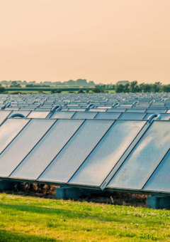 Auf dem Bild ist eine Solare Großanlage zu sehen, die in einem Feld steht.