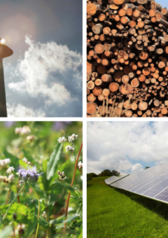 Das Bild ist in vier Abschnitte unterteilt und zeigt verschiedene Aspekte erneuerbarer Energien: Windkraft (oben links), Biomasse in Form von Holz (oben rechts), Blühpflanzen als Nahrungsquelle für Bestäuber, die wichtig für die Biodiversität sind (unten links) und Solarenergie (unten rechts).