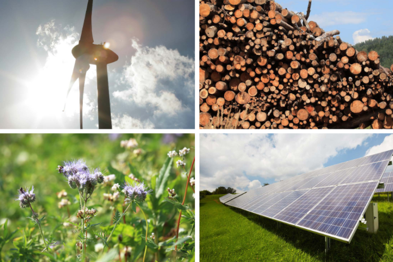 Eine Collage mit vier Bildern, die verschiedene nachhaltige Energiequellen und Naturaspekte darstellen: Oben links ein Windrad gegen einen sonnigen Himmel, oben rechts ein Stapel gefällter Baumstämme vor einem bewaldeten Hügel, unten links eine Nahaufnahme von blühenden Wildblumen auf einer grünen Wiese und unten rechts Solarmodule auf einem grünen Feld unter einem bewölkten Himmel.