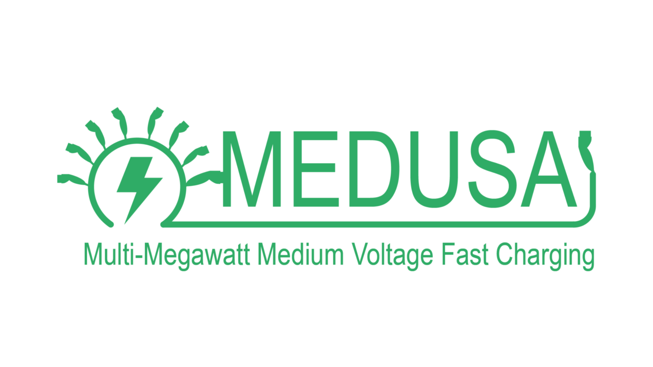 Logo MEDUSA Phase 1 rausgezoomt